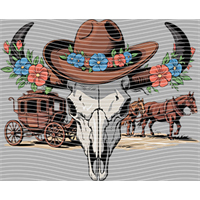 Country music-CM-886